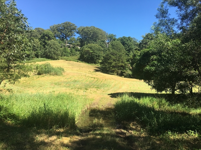 9 Acres – 15 Everton 4