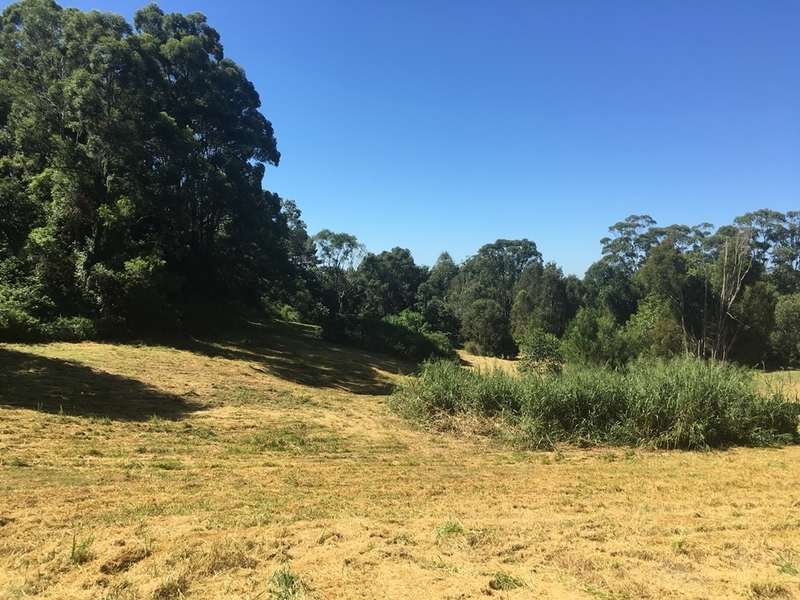 9 Acres – 15 Everton 24
