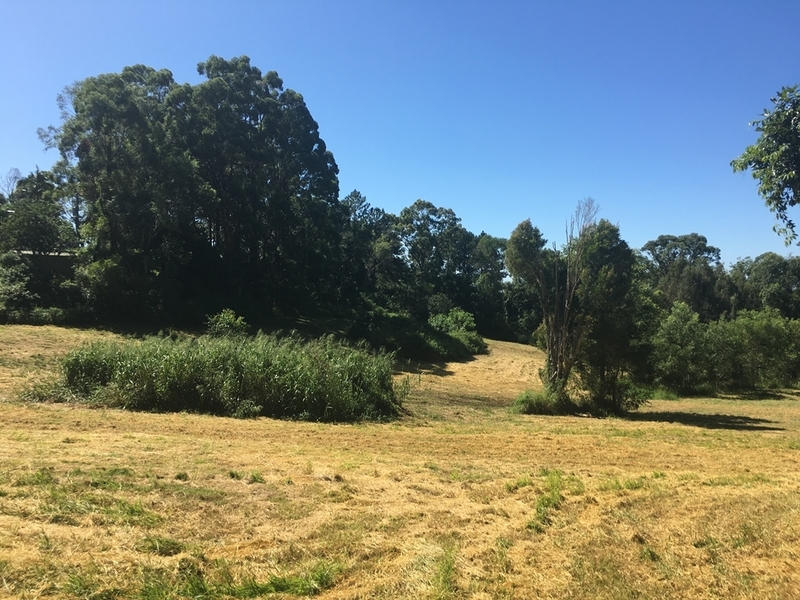 9 Acres – 15 Everton 27