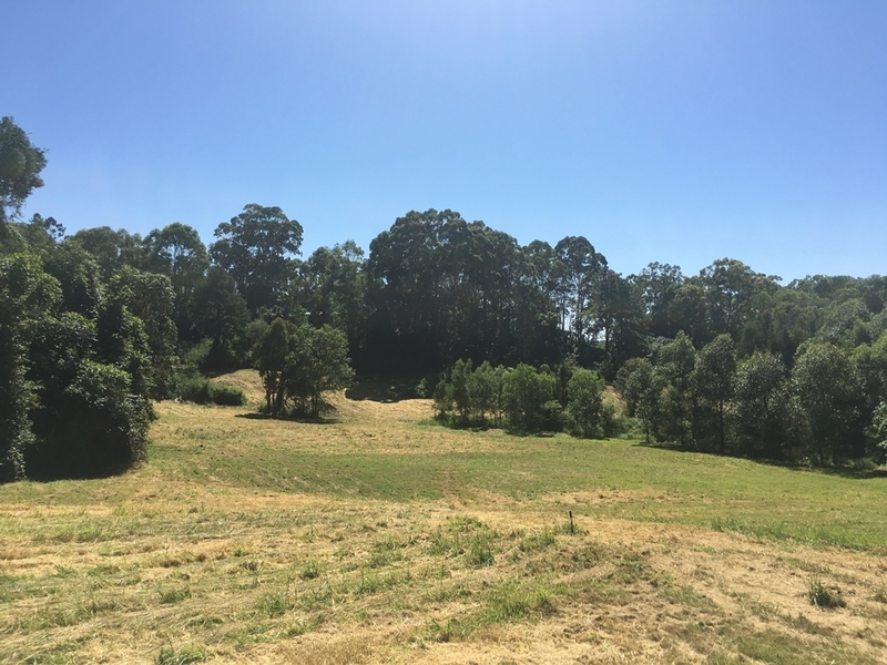 9 Acres – 15 Everton 35