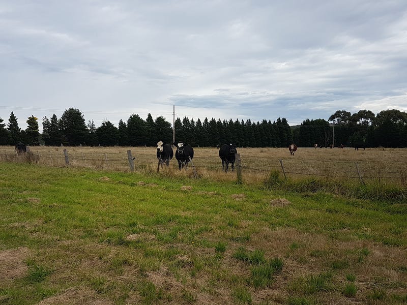 Ten acres of pasture near 2