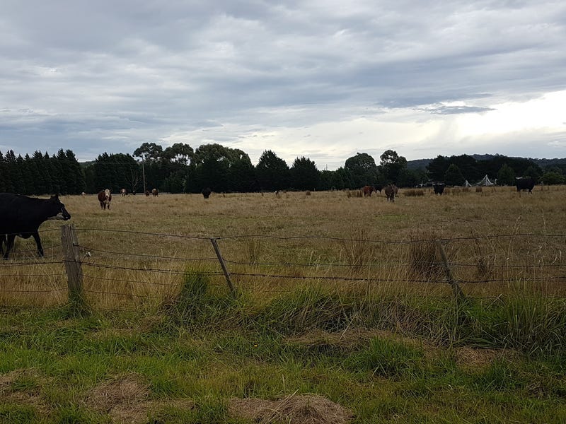 Ten acres of pasture near 3