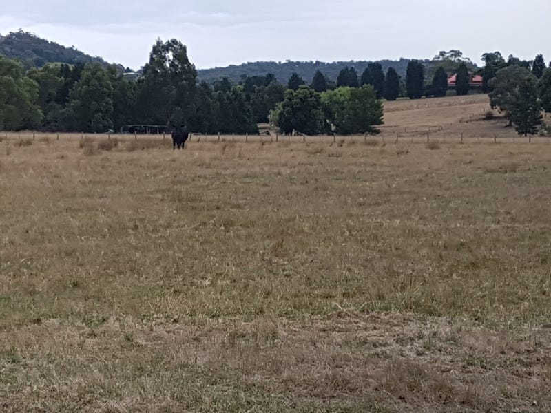 Ten acres of pasture near 6