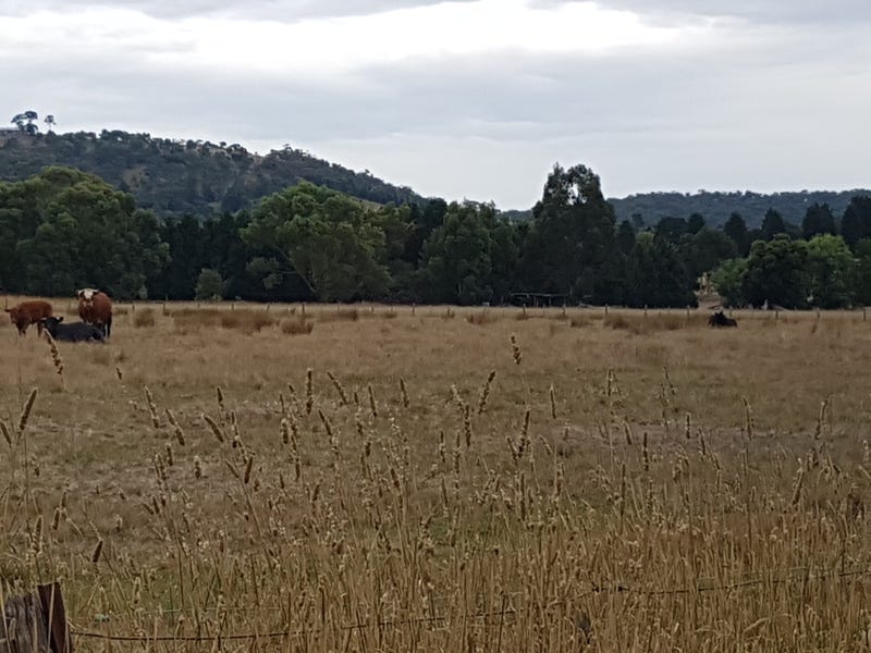 Ten acres of pasture near 7