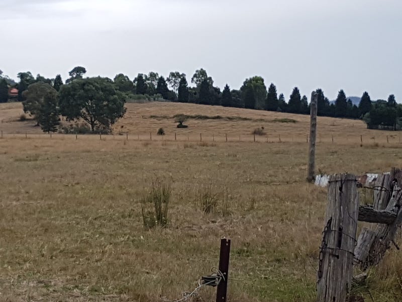 Ten acres of pasture near 8