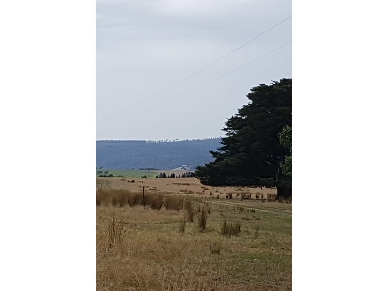 Ten acres of pasture near 9