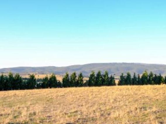 Ten acres of pasture near 11