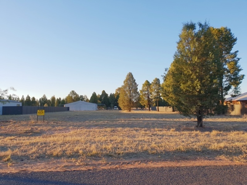 Large allotment of Vacant Land with Unequipped Bore