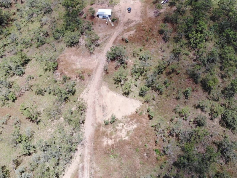 NT Perfect Paradise  SOLD 3