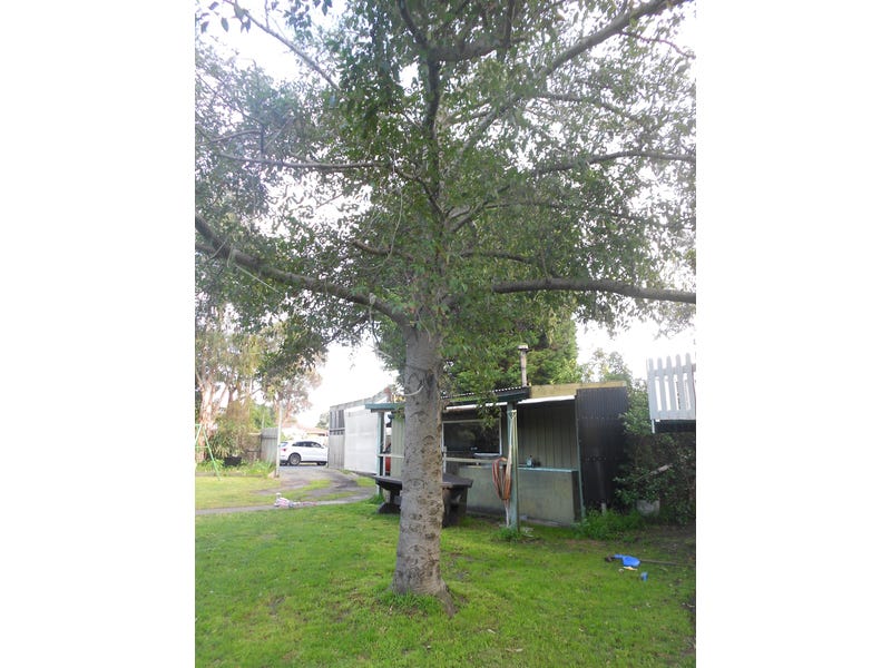UNDER CONTRACT. Green Oasis – 7