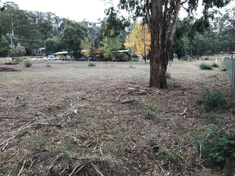 58/60 silver parrot rd Perfect 5