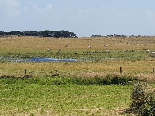 PORT FAIRY – YAMBUK  4