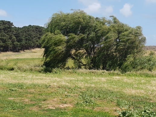 PORT FAIRY – YAMBUK  5