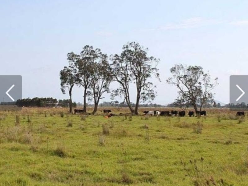 -121 ACRES OF CATTLE COUNTRY 2
