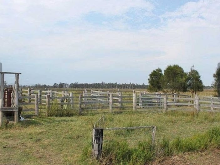 -121 ACRES OF CATTLE COUNTRY 3