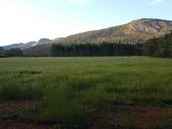 Mountain view magic 4