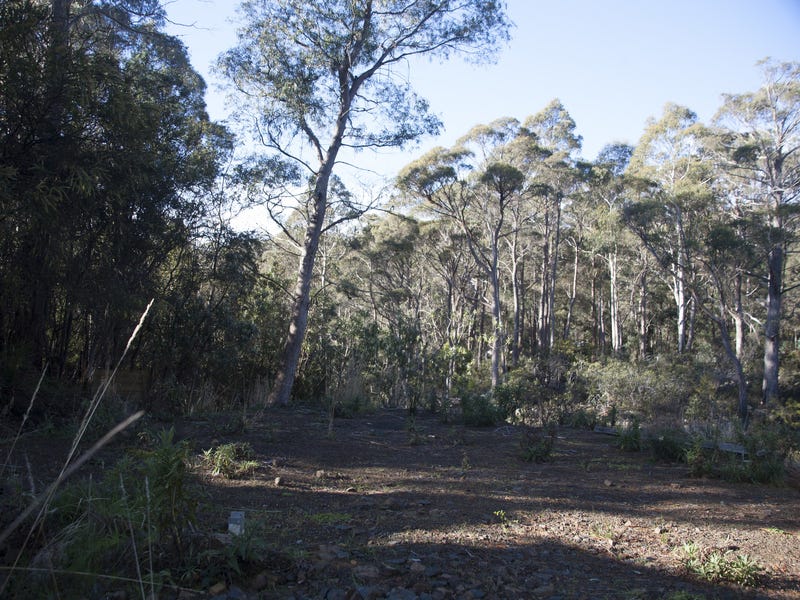 Land in Collinsvale 3