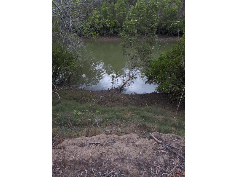 2 acres 50mtr waterfront tree 2