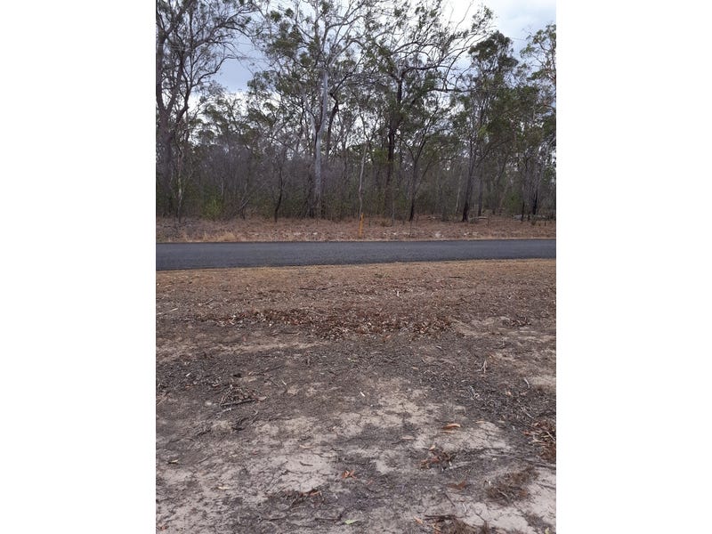 2 acres 50mtr waterfront tree 3