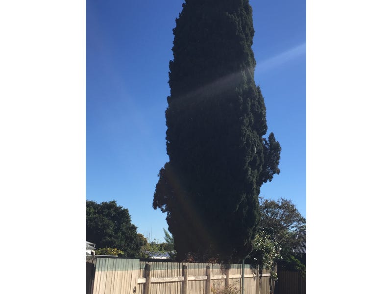 EAST TOOWOOMBA VACANT BLOCK 6
