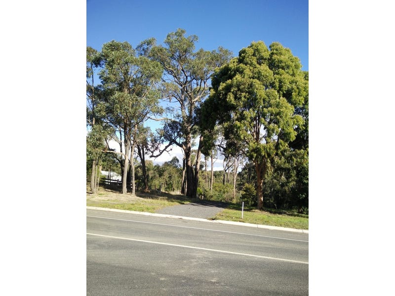 Bush block so close to town