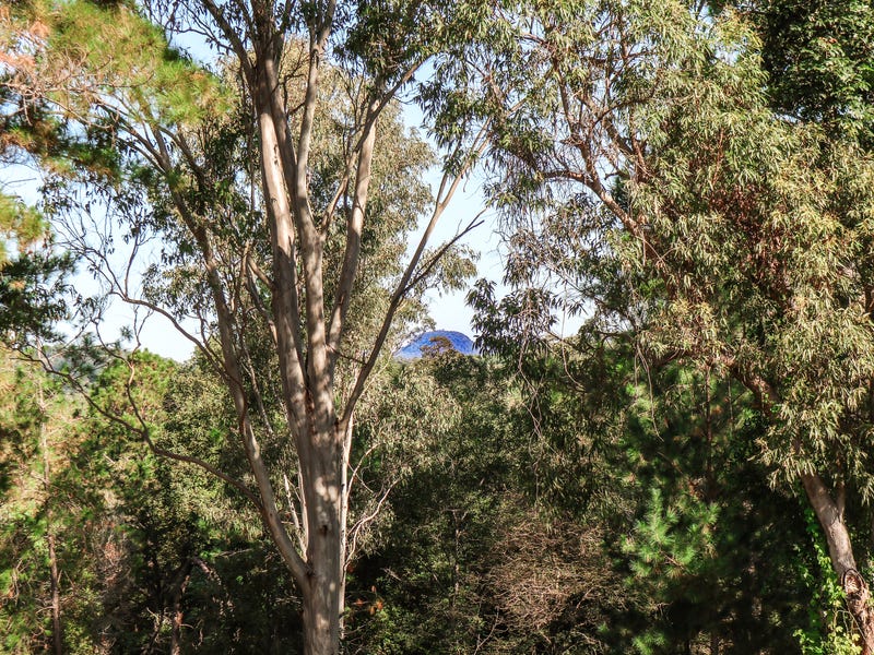SOLD: Stunning Noosa Lifestyle Property 10