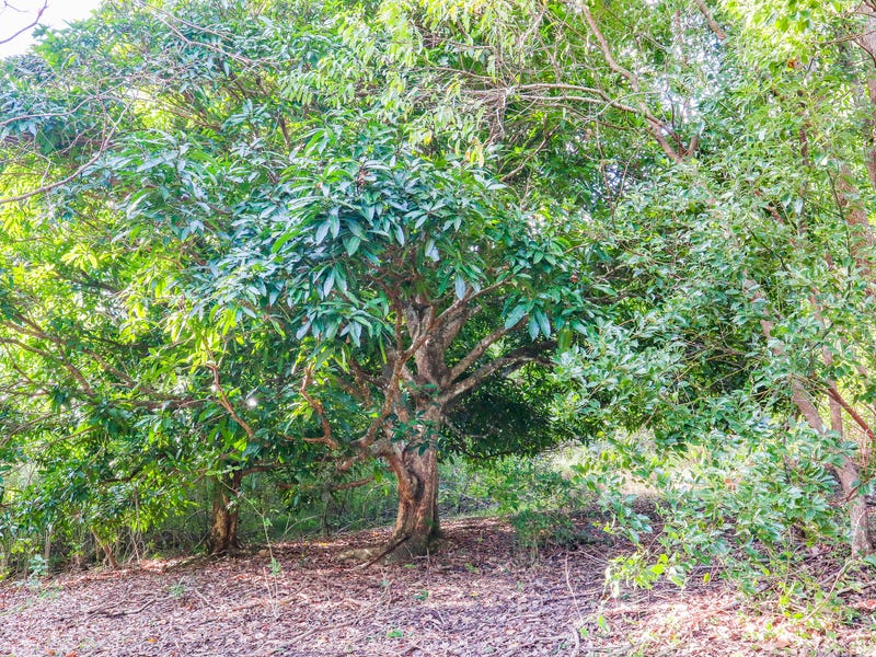 SOLD: Stunning Noosa Lifestyle Property 16