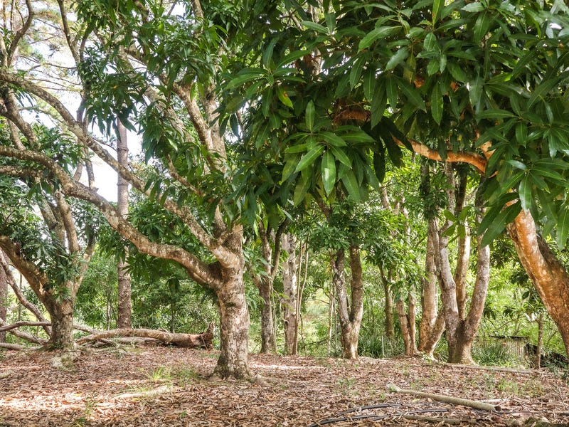 SOLD: Stunning Noosa Lifestyle Property 21