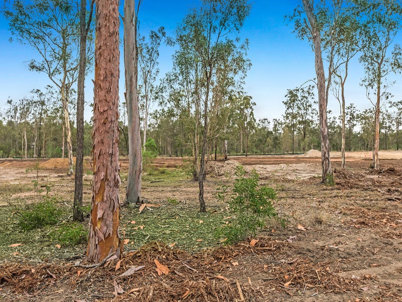 New stage release at Parklands 9