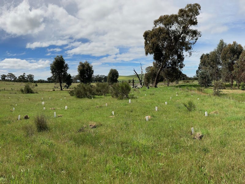 Amazing 30 acre oasis property 2