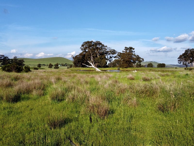 Amazing 30 acre oasis property 4