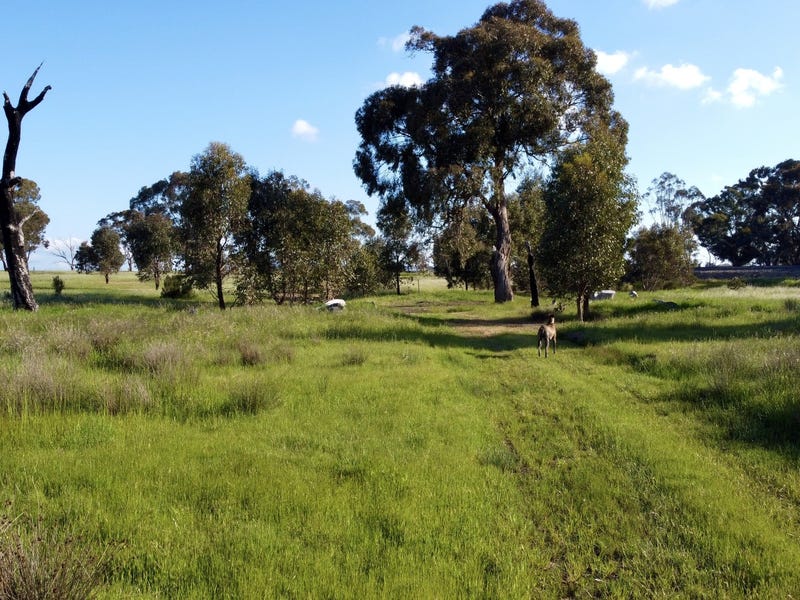 Amazing 30 acre oasis property 5