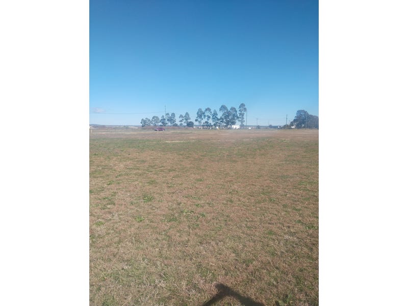 FANTASTIC INVESTMENT OPPORTUNITY – LIVE 7