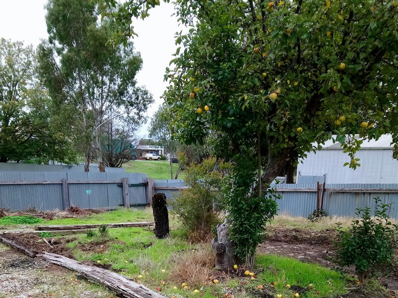 Residential land –  lovely flat block for tiny houses – close to shops and transport