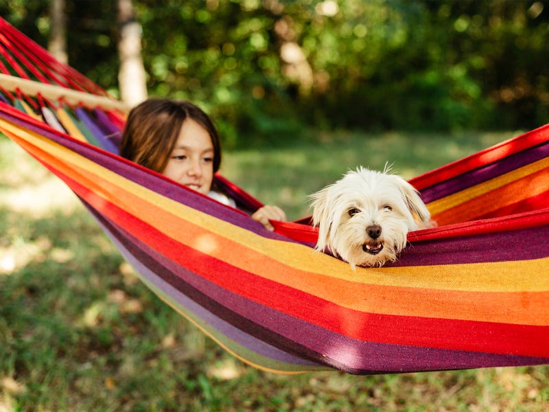 Discover Your Dream Home at 10