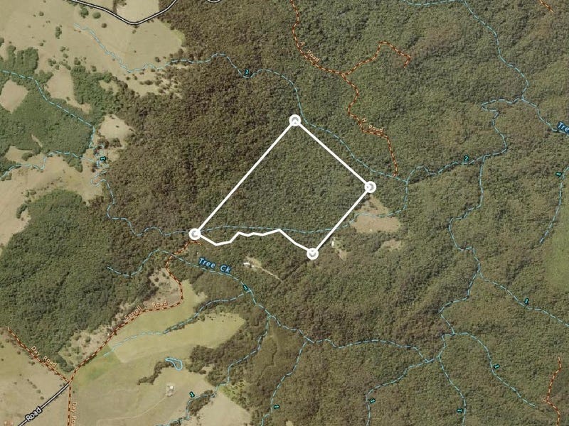 Pristine Rainforest Block at Lake Eacham