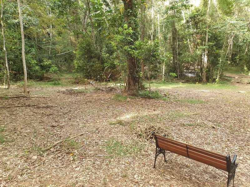 Pristine Rainforest Block at Lake 4