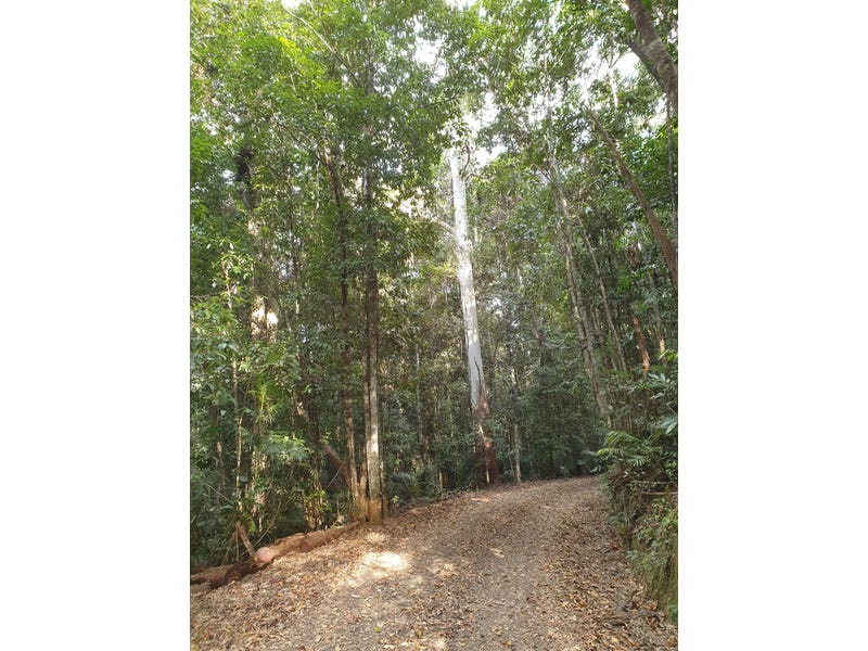 Pristine Rainforest Block at Lake 5