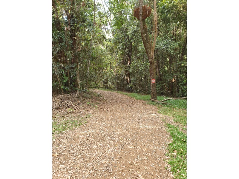 Pristine Rainforest Block at Lake 6