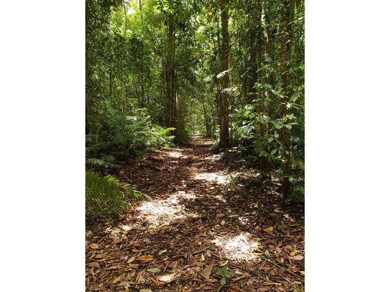 Pristine Rainforest Block at Lake 8