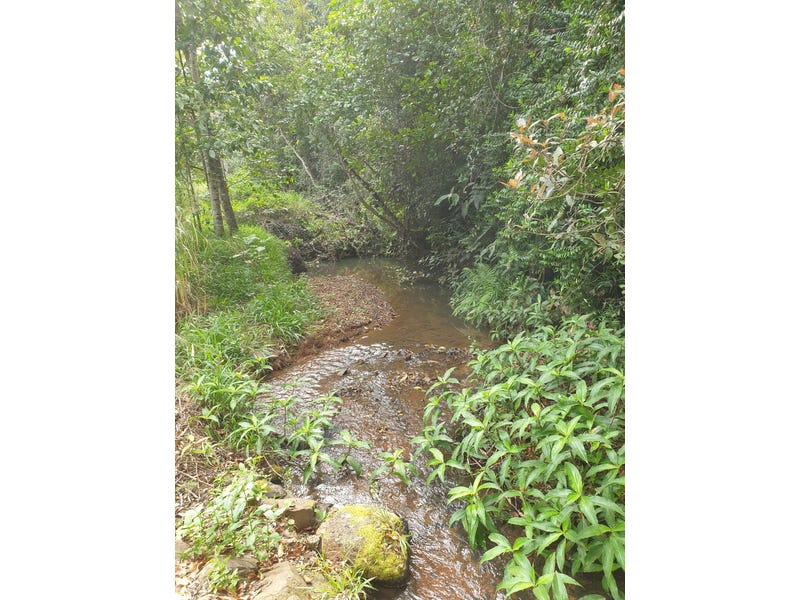 Pristine Rainforest Block at Lake 17