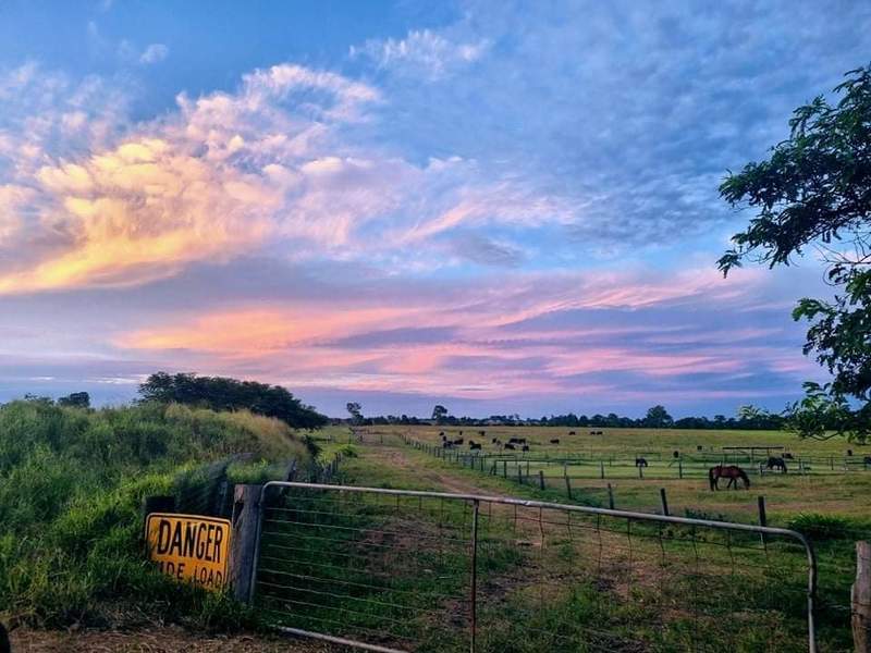 45 Acres In Town Lifestyle 7