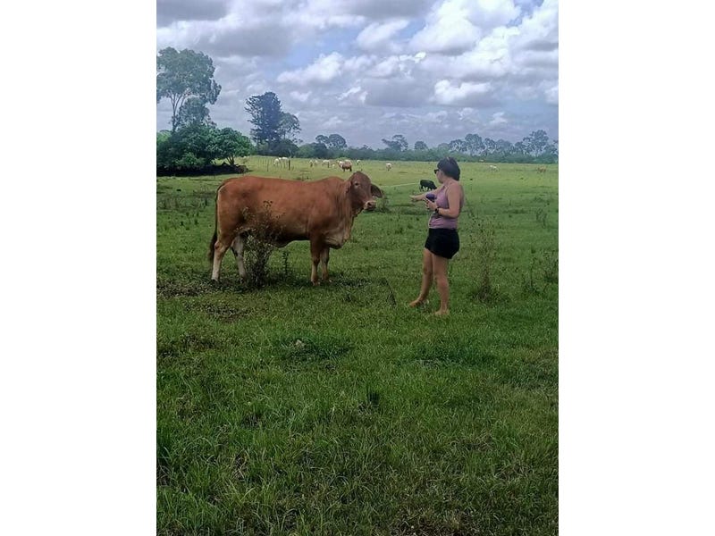 45 Acres In Town Lifestyle 15