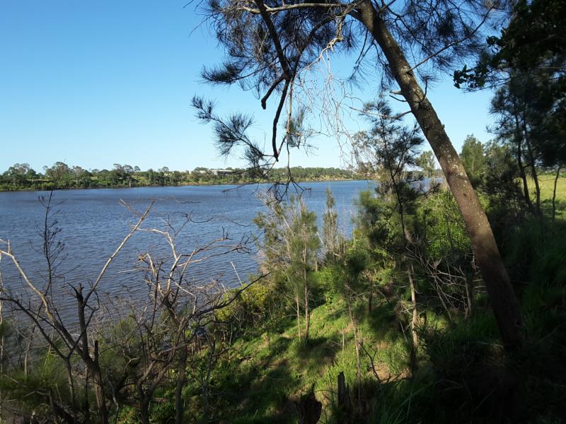 45 Acres In Town Lifestyle 16