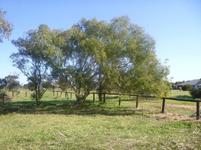 1ha Block of land 3