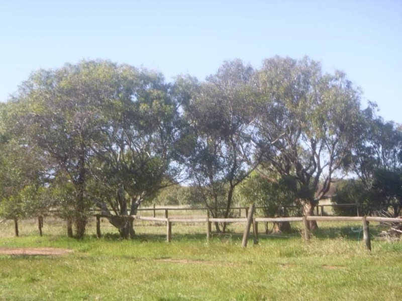 1ha Block of land 4