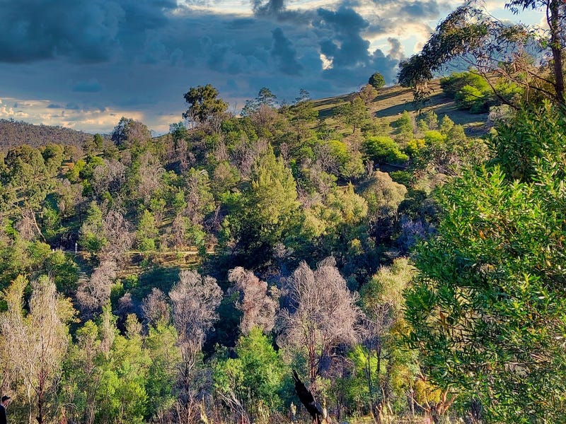 Picturesque Acreage in the Pyrenees Ranges