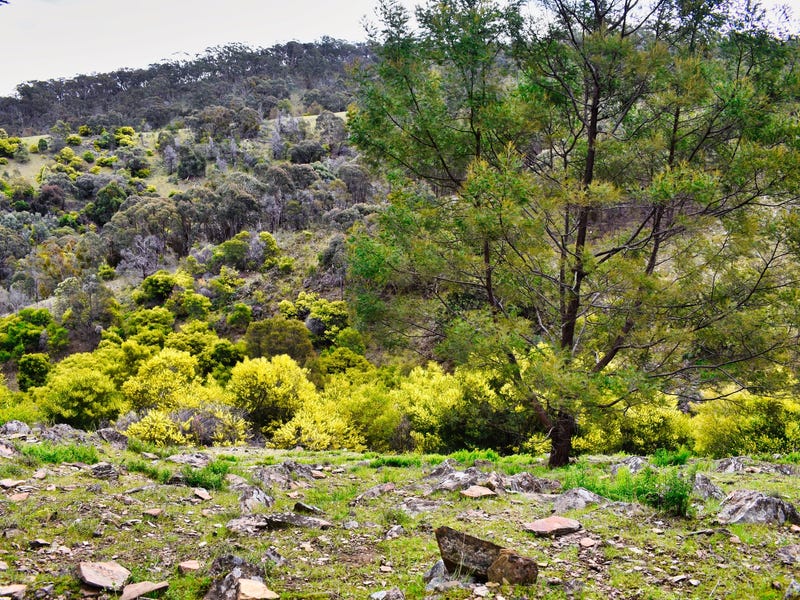 Picturesque Acreage in the Pyrenees 3