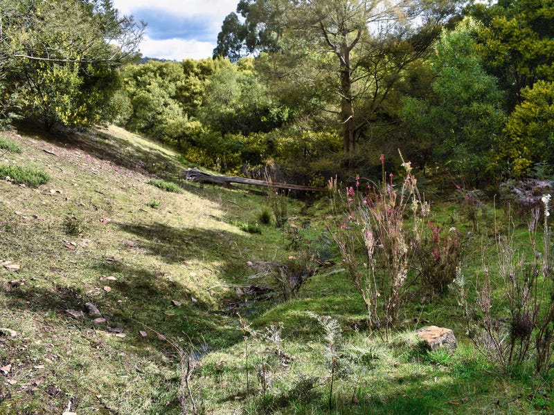 Picturesque Acreage in the Pyrenees 7
