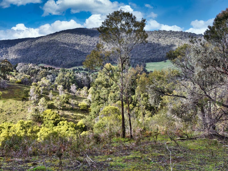 Picturesque Acreage in the Pyrenees 10